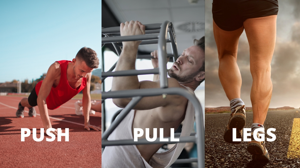Struggling To Gain Muscles? Try Push Pull Legs Routine